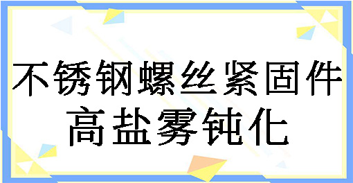 不銹鋼螺絲緊固件高鹽霧鈍化